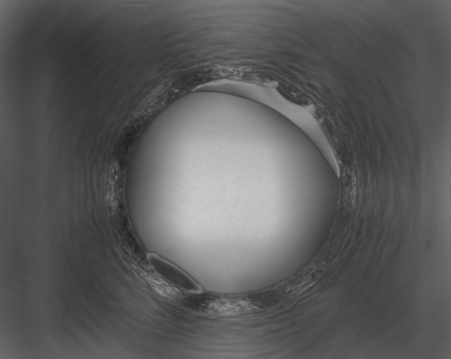 X0000083000712200702230127