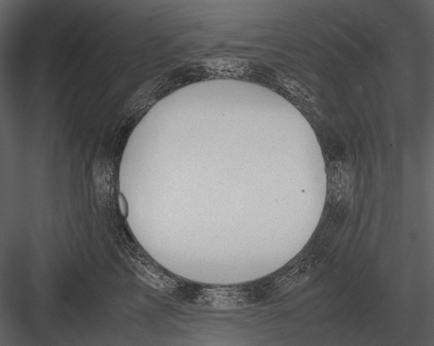 X0000083000713200702230127