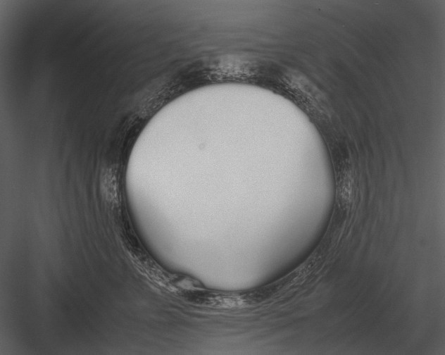 X0000083000715200702230127