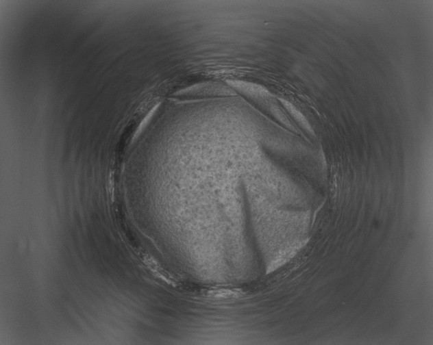 X0000083000716200702230127