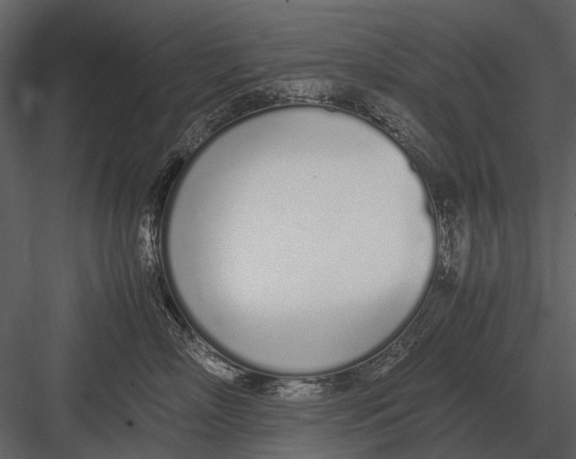 X0000083000718200702230127