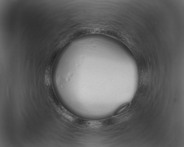 X0000083000719200702230126