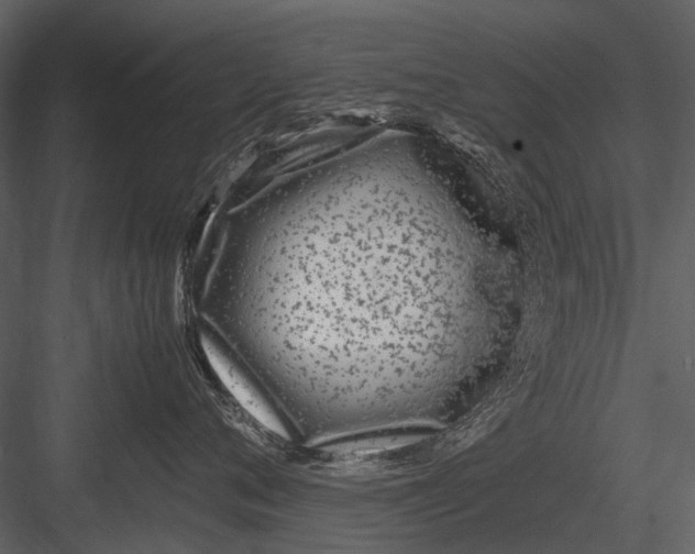 X0000083000720200702230126