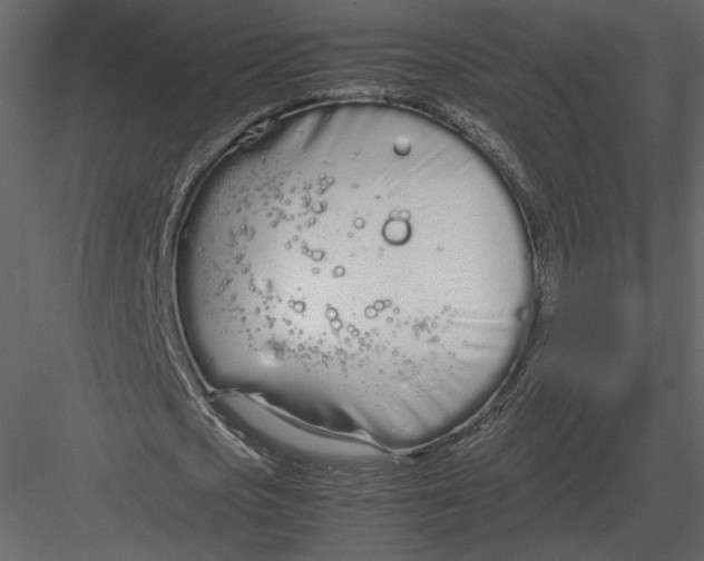 X0000083000721200702230126