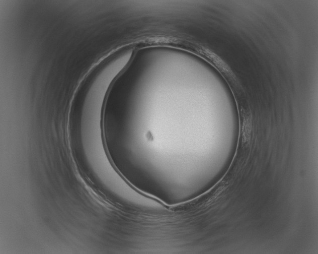 X0000083000722200702230126