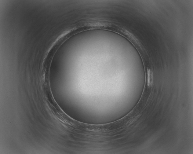 X0000083000723200702230126