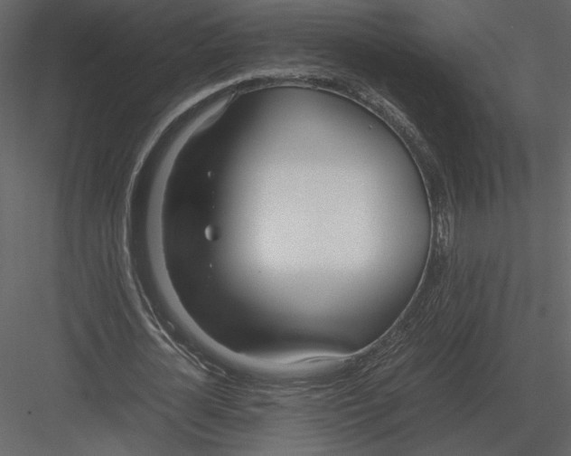 X0000083000724200702230126