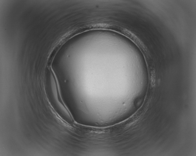 X0000083000725200702230126