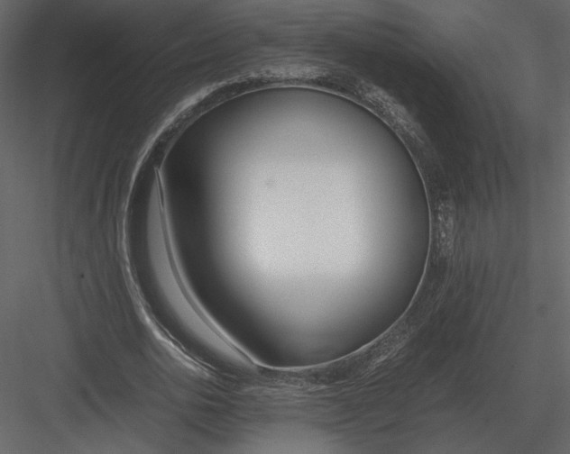 X0000083000726200702230126