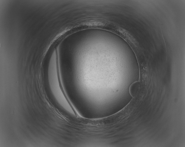 X0000083000727200702230126