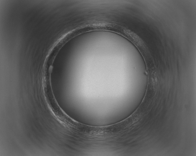 X0000083000728200702230126