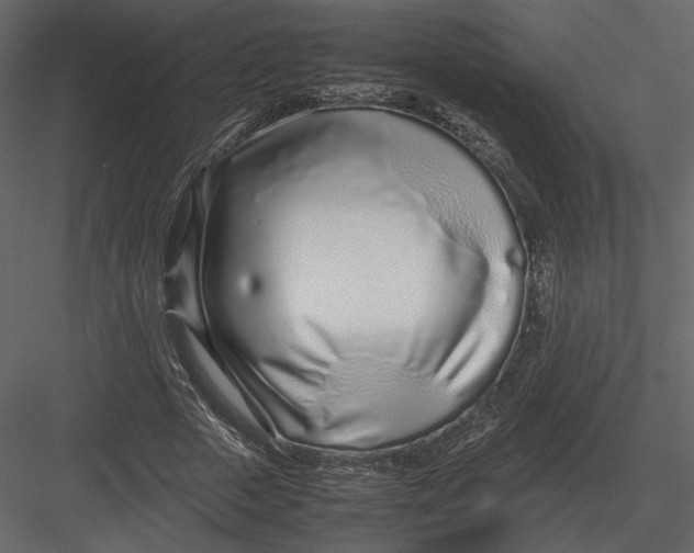 X0000083000729200702230126