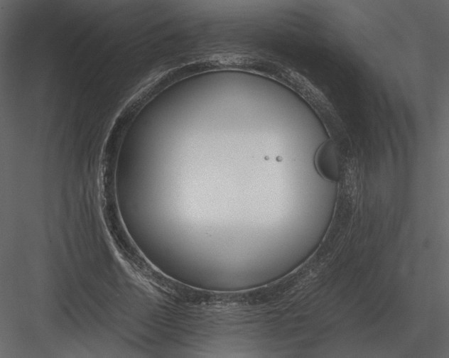 X0000083000730200702230126