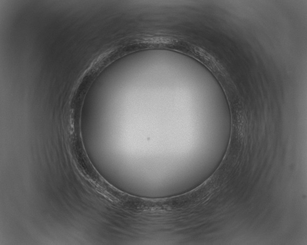 X0000083000731200702230126