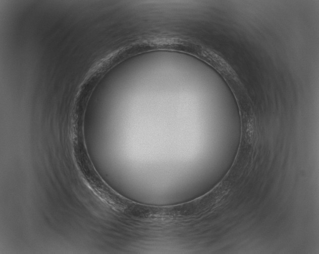 X0000083000732200702230126