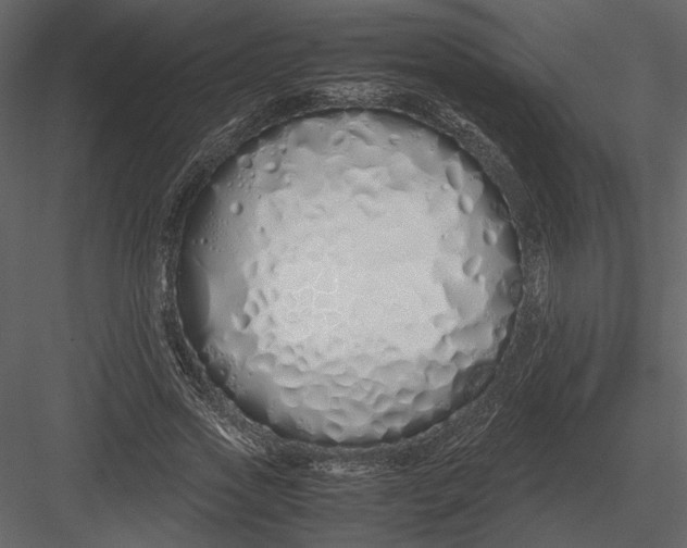 X0000083000733200702230126