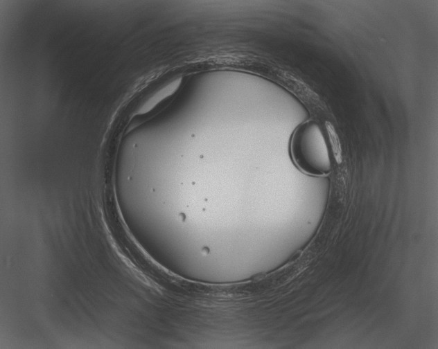 X0000083000734200702230126