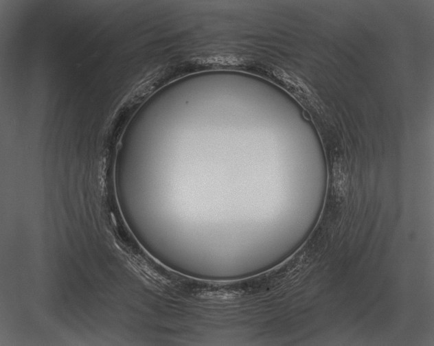 X0000083000735200702230126