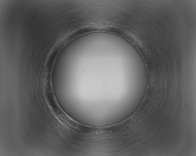 X0000083000736200702230126