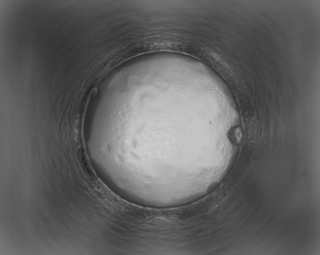 X0000083000737200702230126