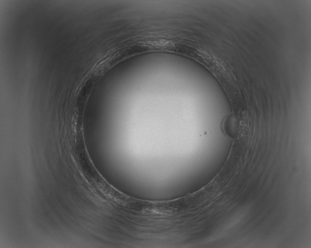 X0000083000739200702230126