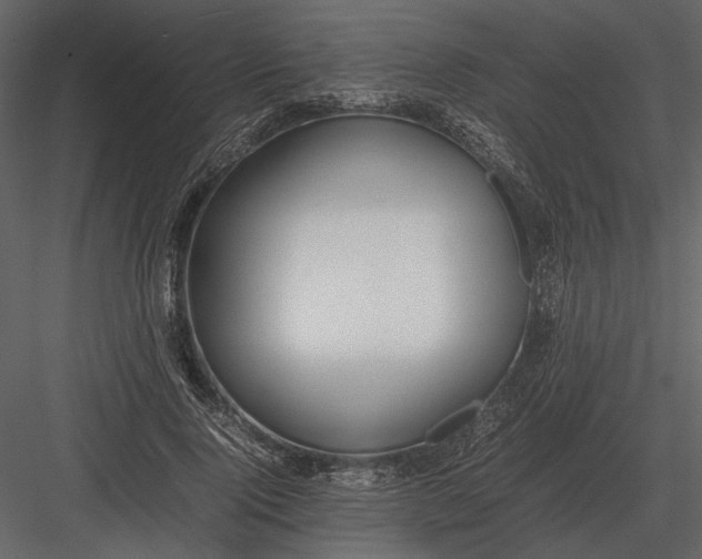 X0000083000740200702230126