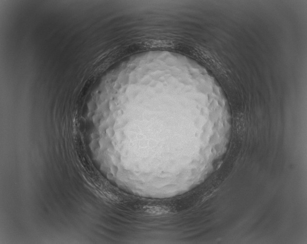 X0000083000741200702230126