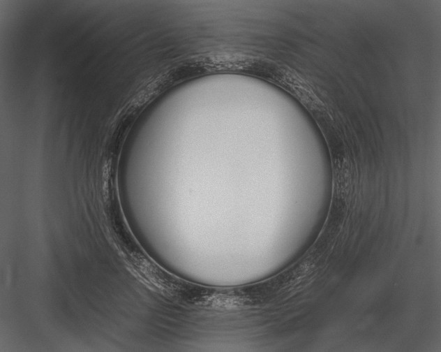 X0000083000742200702230126