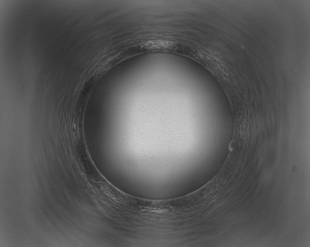 X0000083000743200702230126