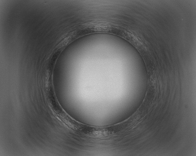 X0000083000744200702230126