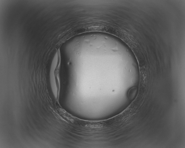 X0000083000745200702230126