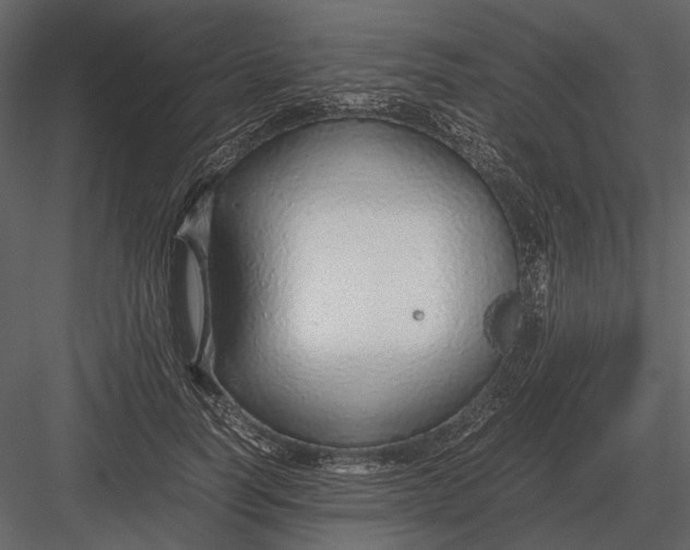 X0000083000746200702230126