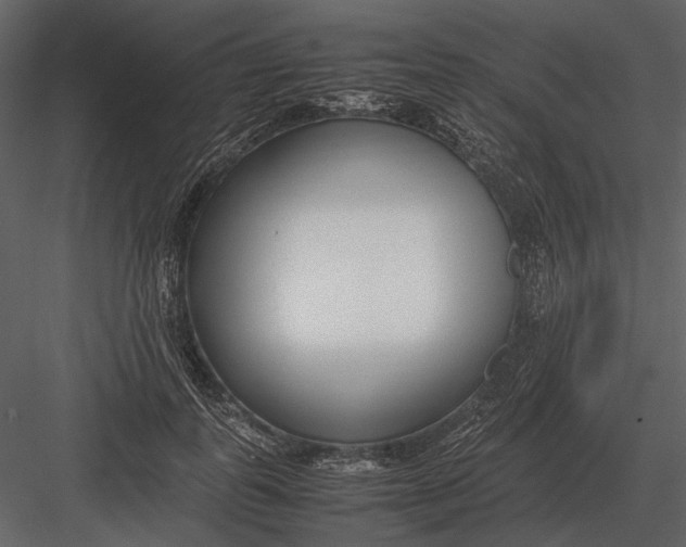 X0000083000747200702230126