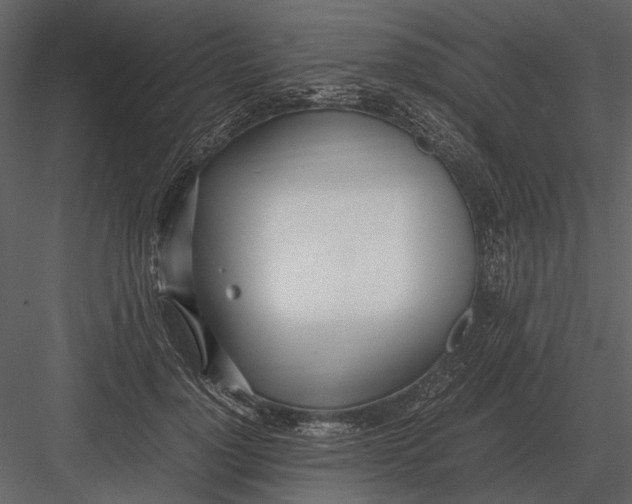 X0000083000748200702230126