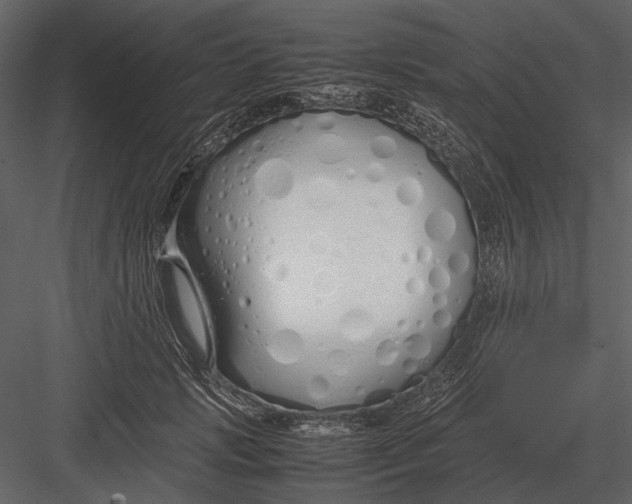 X0000083000749200702230126