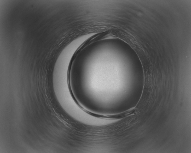 X0000083000750200702230126