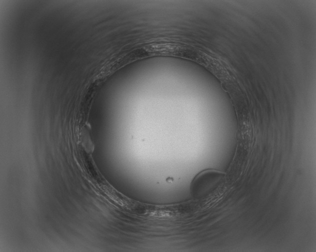 X0000083000751200702230126