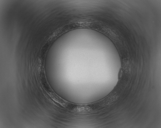 X0000083000752200702230126