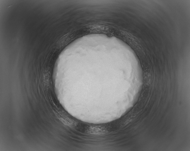 X0000083000753200702230126