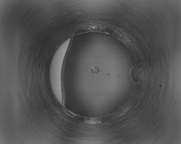 X0000083000754200702230126