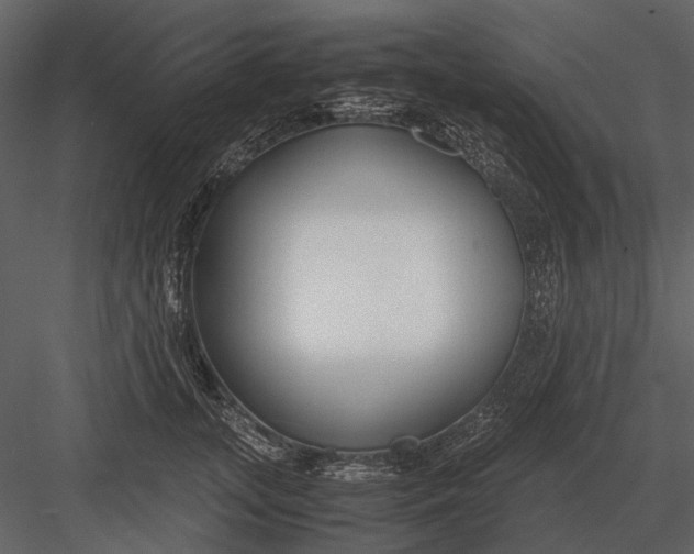 X0000083000755200702230126