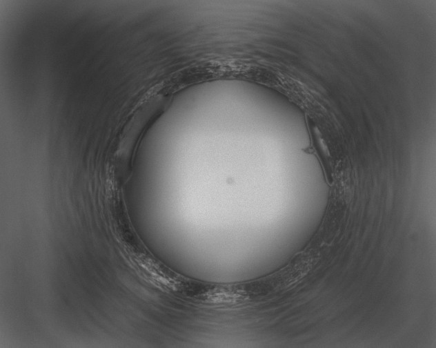 X0000083000756200702230126