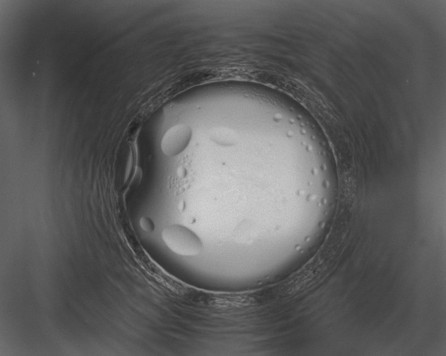 X0000083000757200702230126