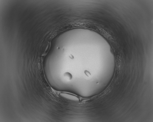 X0000083000758200702230126