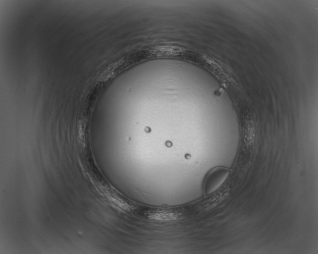 X0000083000759200702230126