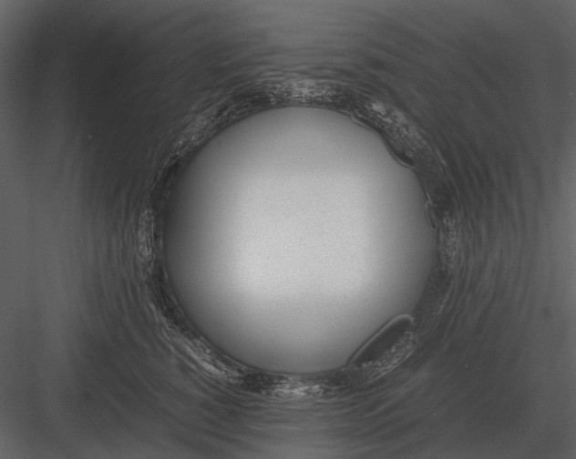 X0000083000760200702230126