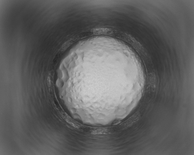 X0000083000761200702230126