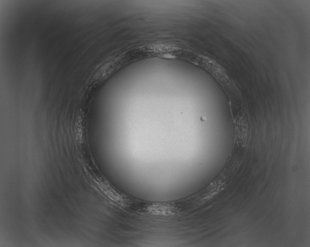 X0000083000762200702230126