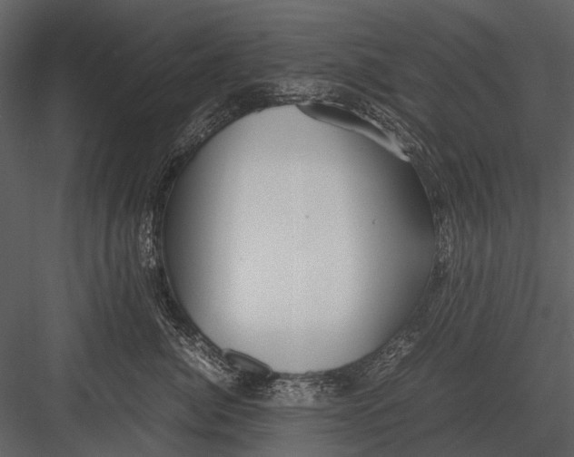 X0000083000764200702230126