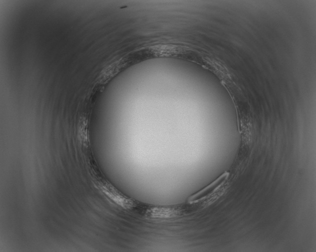 X0000083000766200702230126